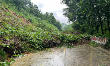 Đà Nẵng: Lũ trên sông Vu Gia - Thu Bồn đạt đỉnh, xuống chậm