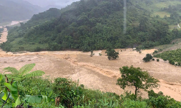 Quảng Ngãi: Ngọn núi đổ ập, cuốn trôi hoàn toàn hoa màu của người dân