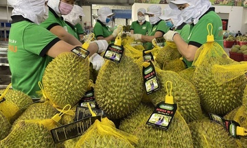 Tin Công Thương 28/10: Xuất khẩu rau quả năm 2025 tiến gần mốc 8 tỷ USD