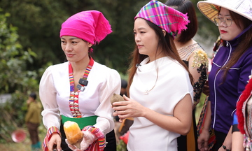 300 tấn khoai sâm đất Sìn Hồ được tiêu thụ qua TikTok Shop sau 2 tháng