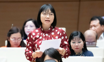 Phát triển thị trường carbon không chỉ ở vấn đề thể chế