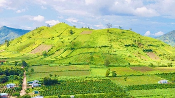 Tháng 11, hẹn nhau về Gia Lai ngắm dã quỳ nở rộ bên núi lửa triệu năm