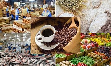 Đề xuất mới về thuế giá trị gia tăng gỡ khó cho lĩnh vực nông sản