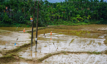 Miền Trung: Thêm gần 170.000 hộ dân được cấp điện trở lại sau mưa lũ