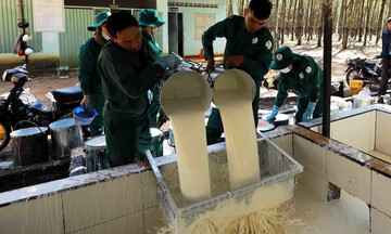 Xuất khẩu cao su của Việt Nam phục hồi mạnh trong quý III
