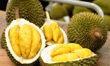 Xuất khẩu sầu riêng đạt kỷ lục trong tháng 9, hướng tới 3,5 tỷ USD