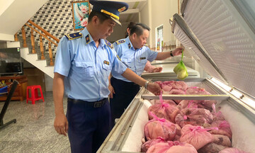 Gia Lai: Xử lý 423 vụ vi phạm, thu phạt hơn 4,1 tỷ đồng 