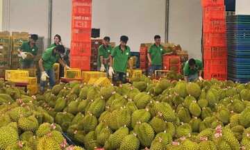 Sắp đăng ký tự động mã số xuất khẩu qua Hải quan Trung Quốc