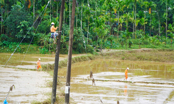 PC Quảng Ngãi nỗ lực khôi phục cấp điện an toàn sau mưa lũ