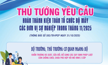 Thủ tướng yêu cầu kiện toàn tổ chức bộ máy các đơn vị sự nghiệp trong tháng 11/2025