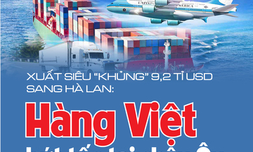 Infographic | Xuất siêu 'khủng' 9,2 tỉ USD sang Hà Lan: Hàng Việt bứt tốc tại châu Âu