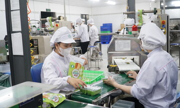 Đà Nẵng: Doanh nghiệp tìm cơ hội xuất khẩu qua thị trường Halal