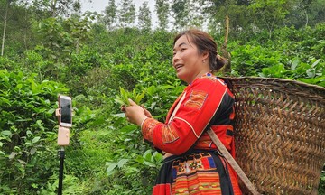 Dự án Luật Thương mại điện tử: Thúc đẩy phát triển kinh tế số, kích cầu tiêu dùng