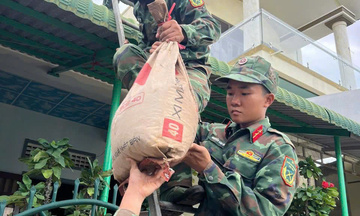 Quảng Ngãi: Lên phương án di dời gần 27.000 hộ dân để tránh bão số 13