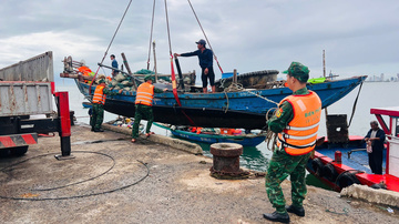 Đà Nẵng: Học sinh nghỉ học, di dời người dân trước 12h00 ngày 6/11