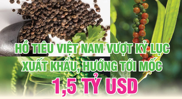 Hồ tiêu Việt Nam xuất khẩu vượt kỷ lục, hướng tới mốc 1,5 tỷ USD