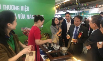 Livestream quảng bá sản phẩm tại Hội chợ Công Thương vùng Đồng bằng sông Hồng - Hải Phòng