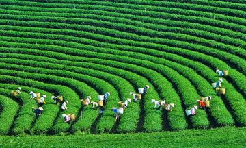 Góp ý Dự thảo Văn kiện Đại hội XIV: Đổi mới mô hình tăng trưởng, phát triển kinh tế xanh