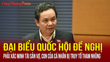 Đại biểu Quốc hội đề nghị phải xác minh tài sản vợ, con của cá nhân bị truy tố tham nhũng