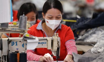 Tỷ lệ sử dụng chứng nhận xuất xứ C/O trong EVFTA tăng dần