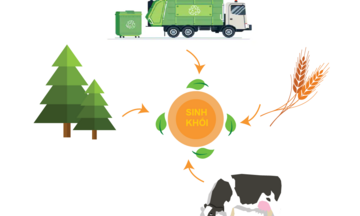 Điện sinh khối – động lực mới trên hành trình xanh của Việt Nam