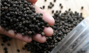 Hồ tiêu Việt Nam tăng ba tháng liên tiếp, giá xuất khẩu lập đỉnh mới