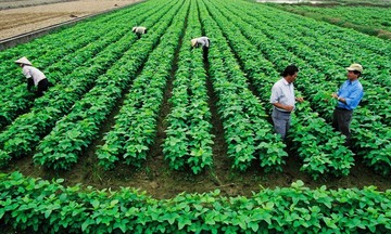 Quy định mới nhất về tiền sử dụng đất