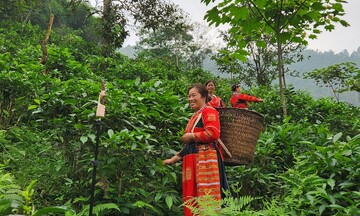 Triển khai đề án chuyển đổi số thúc đẩy thương mại điện tử bền vững