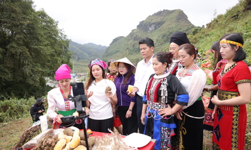 Sìn Hồ vươn mình từ khoai sâm đất và cái bắt tay của '3 nhà'