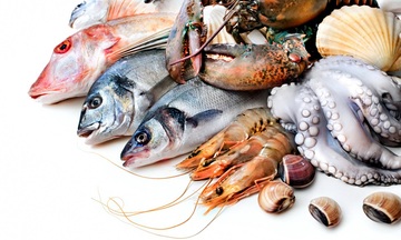 Việt Nam đã chi khoảng 2,73 tỷ USD nhập khẩu thủy sản trong 1 tháng