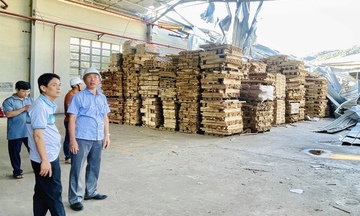 Sở Công Thương Gia Lai đồng hành cùng doanh nghiệp khắc phục thiệt hại