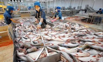 Tin Công Thương 10/11: Việt Nam tận dụng ưu đãi của Hiệp định CPTPP để thúc đẩy kinh tế