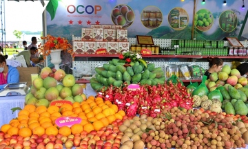 Dự án 'Đặc sản vùng cao': Lan tỏa giá trị nông sản, sẻ chia cộng đồng