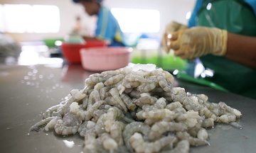 Thực thi UKVFTA, xuất khẩu sang Anh tăng trung bình 10%/năm