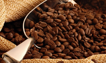 Mexico trở thành một trong những thị trường nhập khẩu lớn cà phê Việt