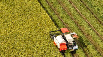 Dấu son 80 năm: Nông sản Việt vươn tầm thế giới trong kỷ nguyên xanh