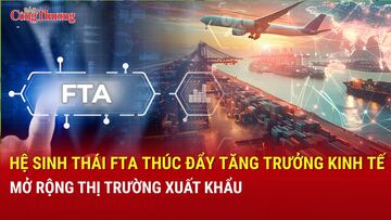 Hệ sinh thái FTA thúc đẩy tăng trưởng kinh tế, mở rộng thị trường xuất khẩu