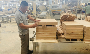 Quảng Trị: Gieo ‘thương hiệu’ từ sản phẩm công nghiệp nông thôn