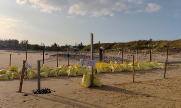 Quảng Ngãi: Đảm bảo an toàn tuyến cáp xuyên biển cấp điện cho Lý Sơn