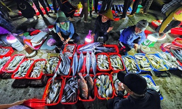 Nhộn nhịp chợ cá lớn nhất Hà Tĩnh sau những ngày mưa lũ