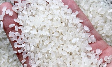 Định vị thương hiệu gạo Việt bằng chiến lược sản xuất xanh