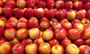 Việt Nam chi hàng tỷ USD để nhập khẩu rau quả trong 10 tháng năm 2025