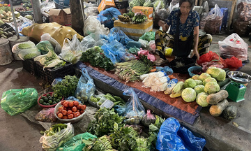 Giữ nhịp thị trường rau xanh trước biến động mùa thiên tai