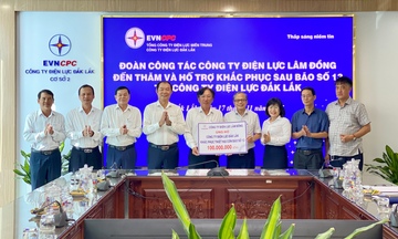 Điện lực Lâm Đồng hỗ trợ Đắk Lắk, Gia Lai khắc phục thiệt hại sau bão