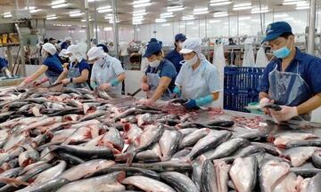 Xuất khẩu cá tra cuối năm: Cơ hội lớn từ CPTPP và Trung Đông