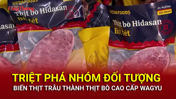 Triệt phá nhóm đối tượng biến thịt trâu thành thịt bò cao cấp Wagyu
