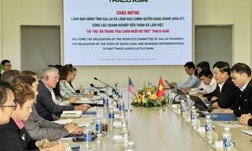 Gia Lai – Idaho (Mỹ) hợp tác phát triển bò thịt công nghệ cao