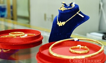 Giá vàng hôm nay 20/11/2025: Đảo chiều tăng nhẹ 