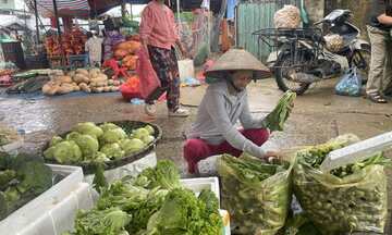 Giải pháp nào khi giá rau xanh tăng ‘chóng mặt’?