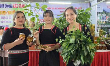 Quảng Ngãi: Lấy OCOP làm động lực nâng tầm sản phẩm nông nghiệp